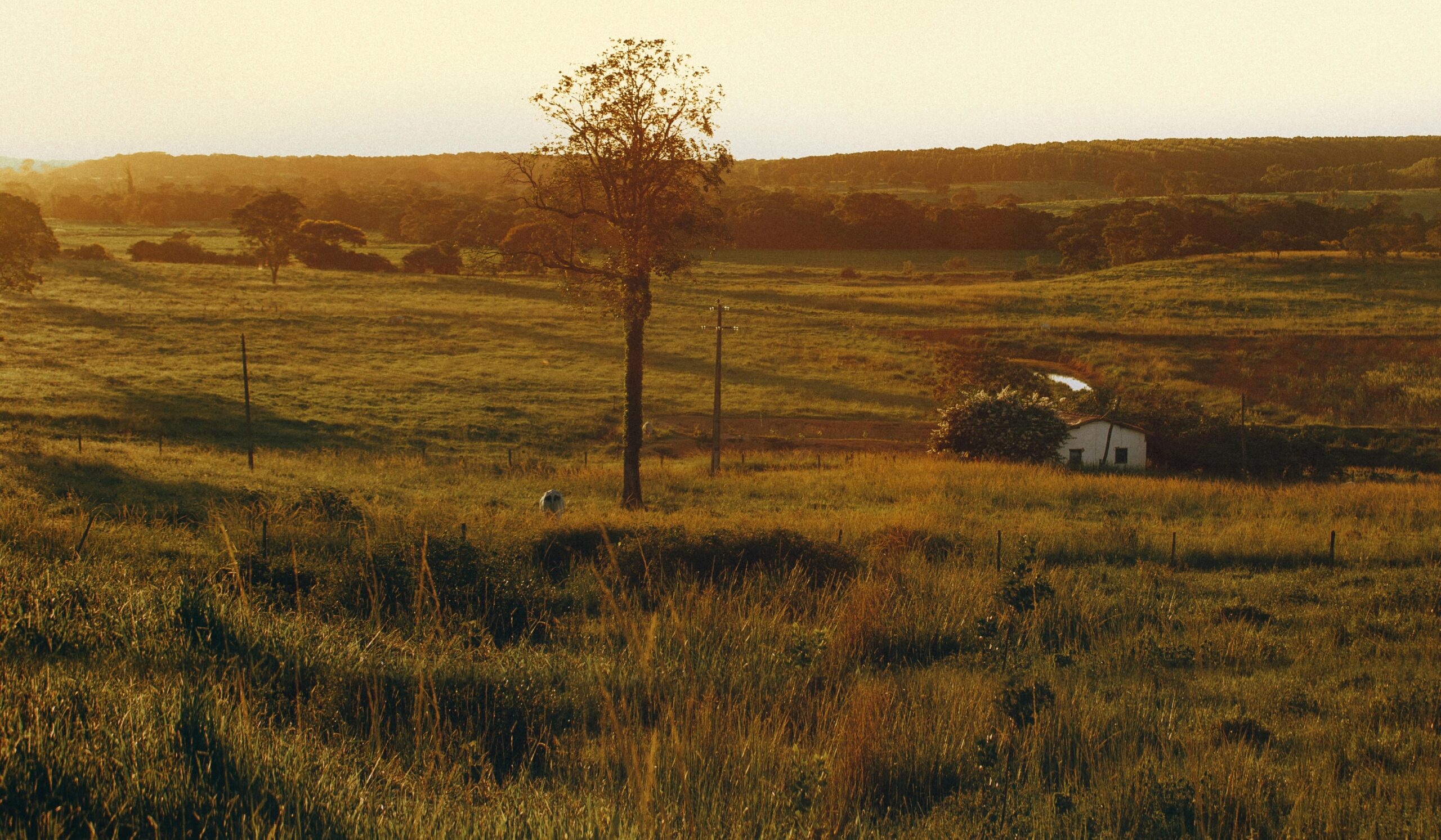 ranch texas